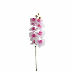 ORQUIDEA 98 CM MARIPOSA X 9 PETALOS BLANCA PURPURA
