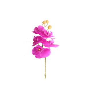 ORQUIDEA 98 CM MARIPOSA X 5 MALVA OSCURO