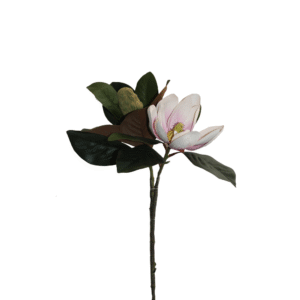 EVA MAGNOLIA DE 76 CM X 2 ROSADA