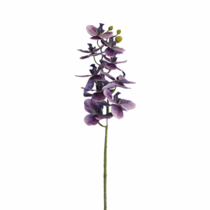 ORQUIDEA PEQUEÑA SIETE CABEZAS MORADO 95CM