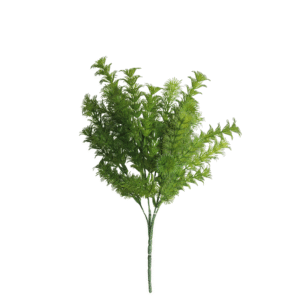 HIERBA ELEUSINE INDICA  VERDE OSCURO