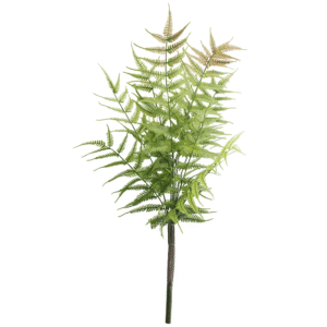 HIERBA PERSA PUNTAS CAFE