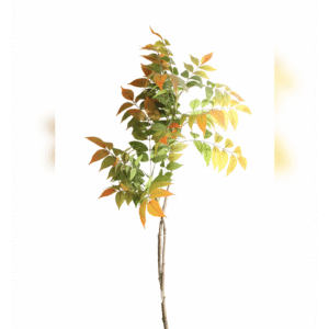 HOJA DE GLICINA PUNTAS NARANJA