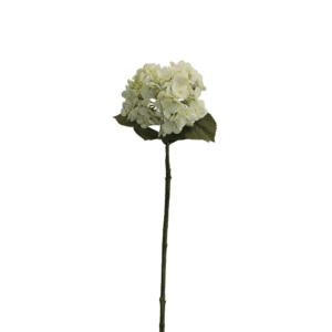 HORTENSIA 63CM BLANCA