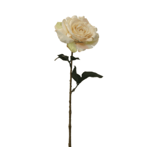 ROSA BLANCA 65CM