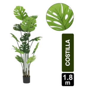 MATA COSTILLA DE ADAN ARTIFICIAL X12 180CM