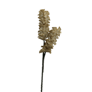 ESPIGA JACINTO X 2 MORADO 85CM