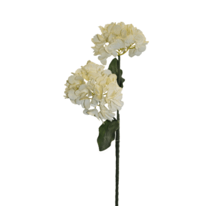 ESPIGA HORTENSIA X 2 CREMA 90CM