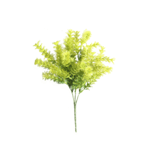 HIERBA ELEUSINE INDICA VERDE CLARO